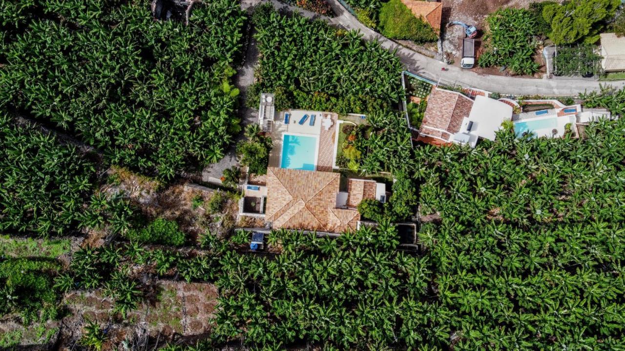 Ourmadeira - Villa Do Mar Iv, Secluded Calheta  Zewnętrze zdjęcie